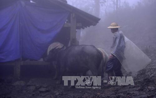 Rét ở miền Bắc kéo dài đến 18/12, miền Trung tiếp tục mưa lũ ảnh 1